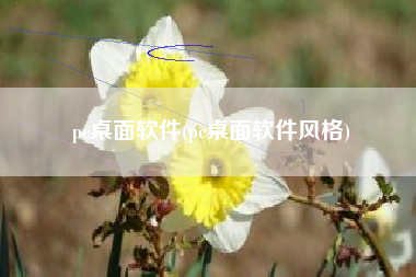 pc桌面软件(pc桌面软件风格)