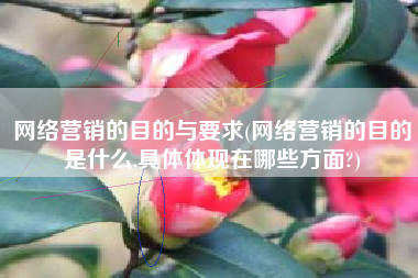 网络营销的目的与要求(网络营销的目的是什么,具体体现在哪些方面?)