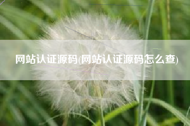 网站认证源码(网站认证源码怎么查)