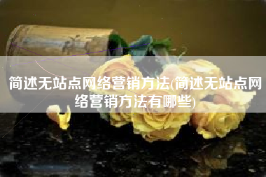 简述无站点网络营销方法(简述无站点网络营销方法有哪些)