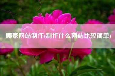 哪家网站制作(制作什么网站比较简单)