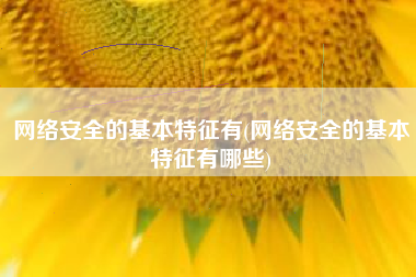 网络安全的基本特征有(网络安全的基本特征有哪些)