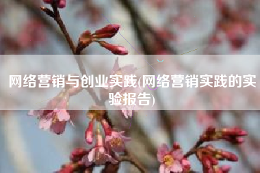 网络营销与创业实践(网络营销实践的实验报告)