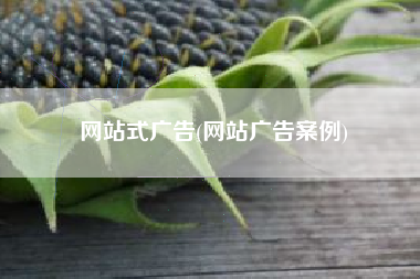 网站式广告(网站广告案例)