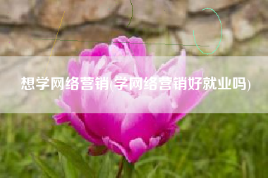 想学网络营销(学网络营销好就业吗)