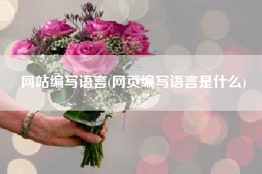 网站编写语言(网页编写语言是什么)