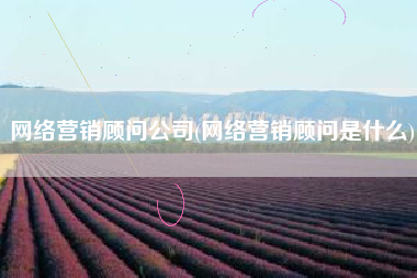 网络营销顾问公司(网络营销顾问是什么)
