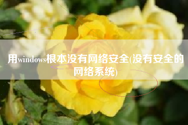 用windows根本没有网络安全(没有安全的网络系统)