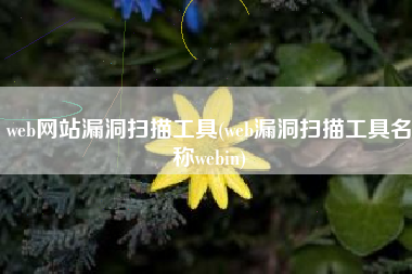 web网站漏洞扫描工具(web漏洞扫描工具名称webin)