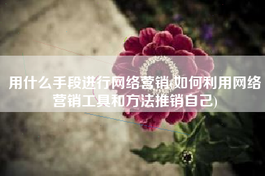 用什么手段进行网络营销(如何利用网络营销工具和方法推销自己)