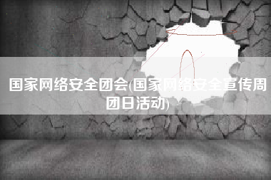 国家网络安全团会(国家网络安全宣传周团日活动)