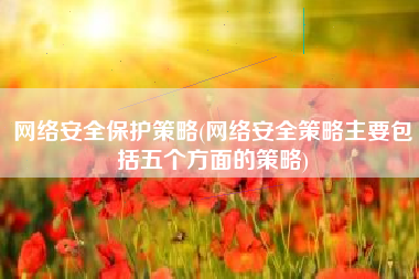 网络安全保护策略(网络安全策略主要包括五个方面的策略)
