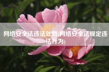 网络安全法违法处罚(网络安全法规定违法行为)