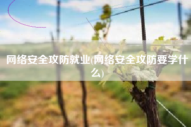 网络安全攻防就业(网络安全攻防要学什么)