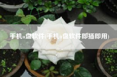 手机u盘软件(手机u盘软件即插即用)