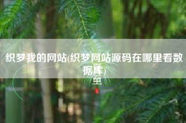 织梦我的网站(织梦网站源码在哪里看数据库)