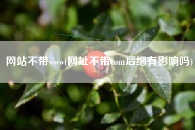 网站不带www(网址不带com后缀有影响吗)