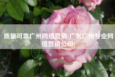 质量可靠广州网络营销(广东广州专业网络营销公司)