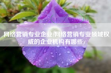 网络营销专业企业(网络营销专业领域权威的企业机构有哪些)