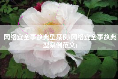 网络安全事故典型案例(网络安全事故典型案例范文)