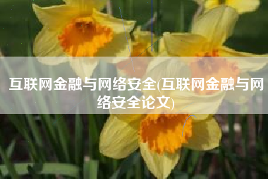 互联网金融与网络安全(互联网金融与网络安全论文)
