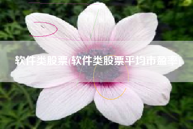 软件类股票(软件类股票平均市盈率)