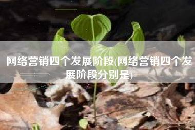 网络营销四个发展阶段(网络营销四个发展阶段分别是)