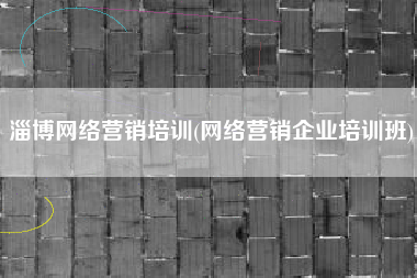 淄博网络营销培训(网络营销企业培训班)