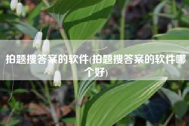 拍题搜答案的软件(拍题搜答案的软件哪个好)