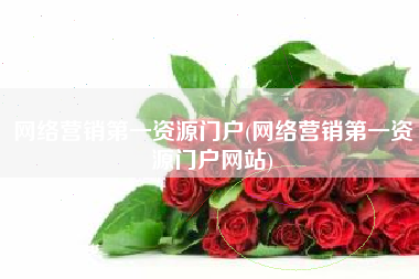 网络营销第一资源门户(网络营销第一资源门户网站)