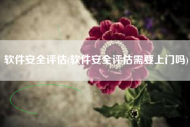 软件安全评估(软件安全评估需要上门吗)