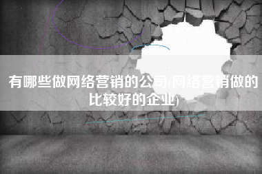 有哪些做网络营销的公司(网络营销做的比较好的企业)