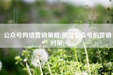 公众号网络营销策略(微信公众号的营销对策)