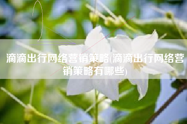 滴滴出行网络营销策略(滴滴出行网络营销策略有哪些)