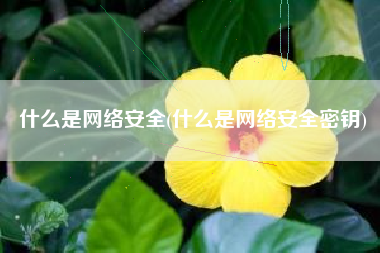 什么是网络安全(什么是网络安全密钥)