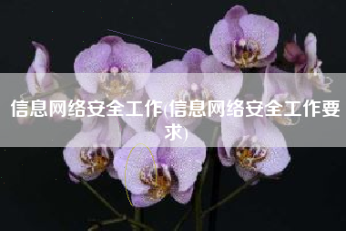 信息网络安全工作(信息网络安全工作要求)