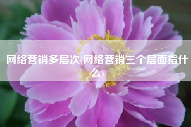 网络营销多层次(网络营销三个层面指什么)