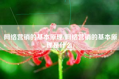 网络营销的基本原理(网络营销的基本原理是什么)
