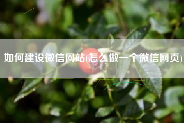 如何建设微信网站(怎么做一个微信网页)