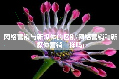 网络营销与新媒体的区别(网络营销和新媒体营销一样吗)