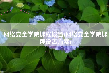 网络安全学院课程设置(网络安全学院课程设置方案)