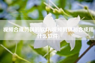 视频合成剪辑的软件(视频剪辑和合成用什么软件)