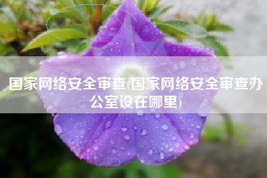 国家网络安全审查(国家网络安全审查办公室设在哪里)