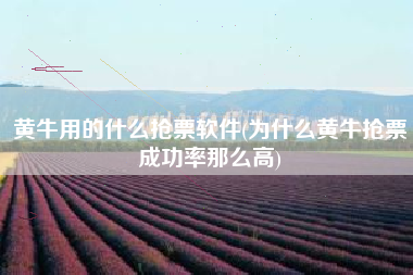黄牛用的什么抢票软件(为什么黄牛抢票成功率那么高)