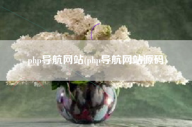 php导航网站(php导航网站源码)
