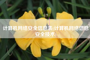 计算机网络安全信息表(计算机网络信息安全技术)