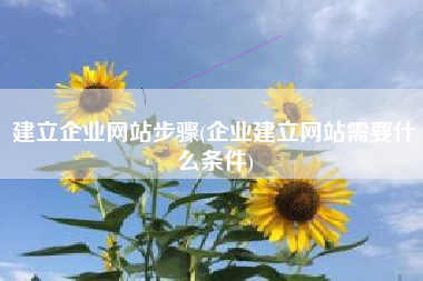 建立企业网站步骤(企业建立网站需要什么条件)