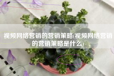 视频网络营销的营销策略(视频网络营销的营销策略是什么)