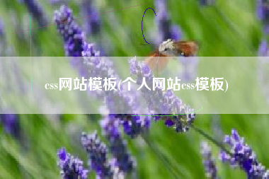 css网站模板(个人网站css模板)