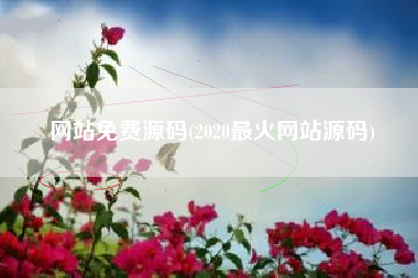 网站免费源码(2020最火网站源码)